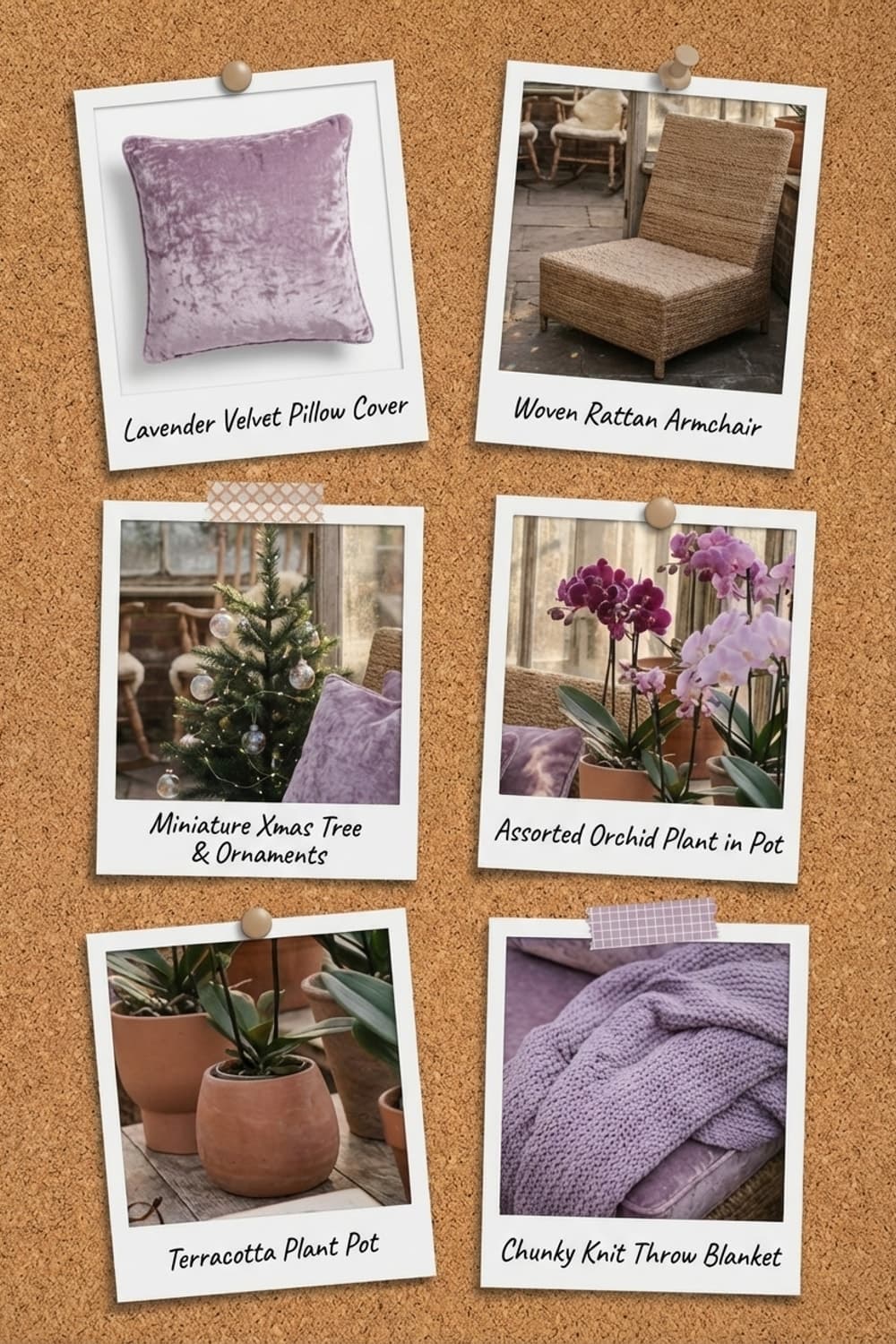 Orchids and Winter Light - greenhouse, sunlight, lilac, lavender, wood - Get the Look Board