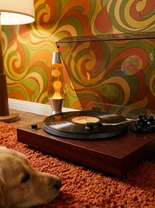 Vinyl's Warmth and Golden Slumber - living room, orange, brown