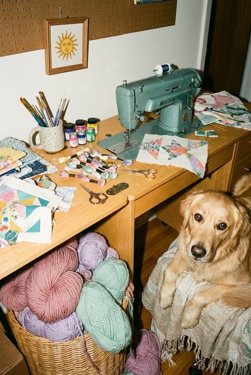 Making, Waiting. - craft room, sewing, golden retriever