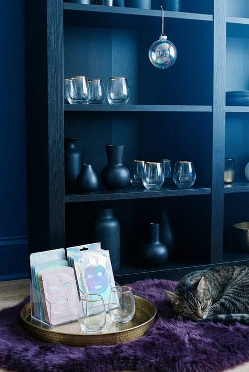 Between Masks and Cat Naps - living room, dark blue, purple