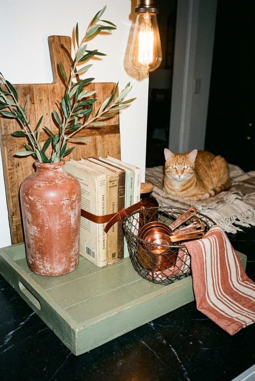 The Cat Knows Kitchen Secrets - kitchen, orange cat, marble countertop